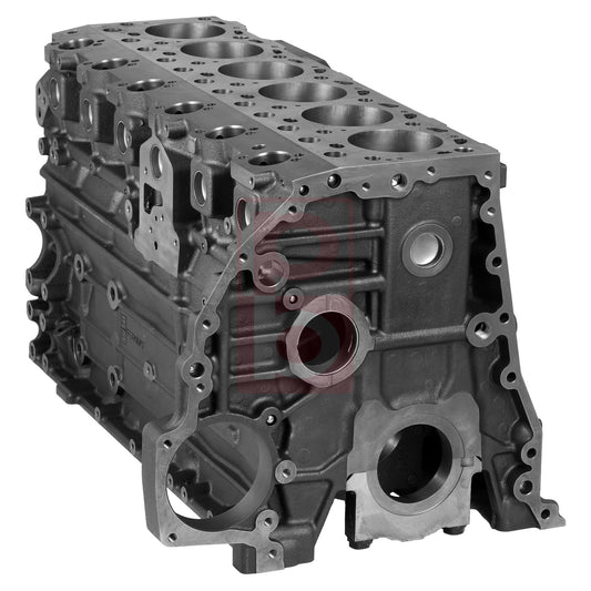 Motorgehäuse 10 010 906 00