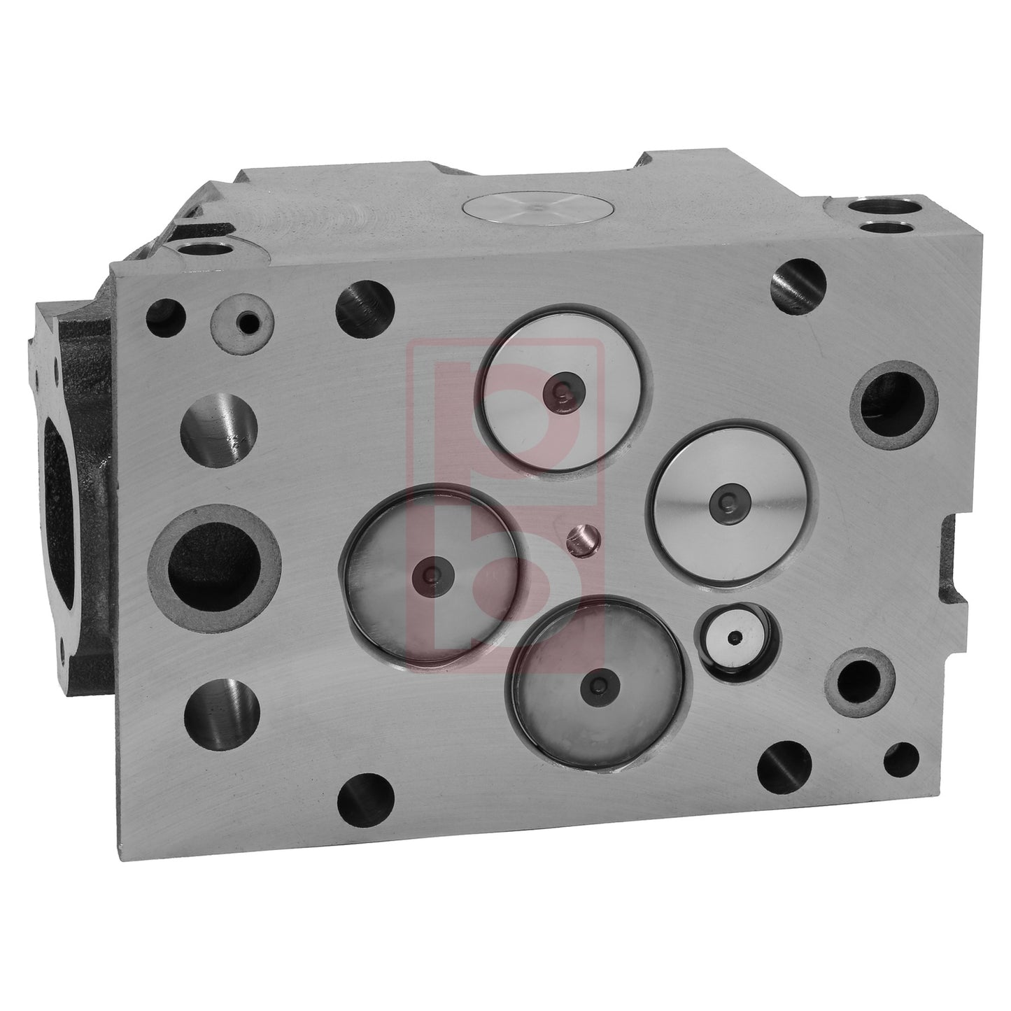 Zylinderkopf 10 012 457 01