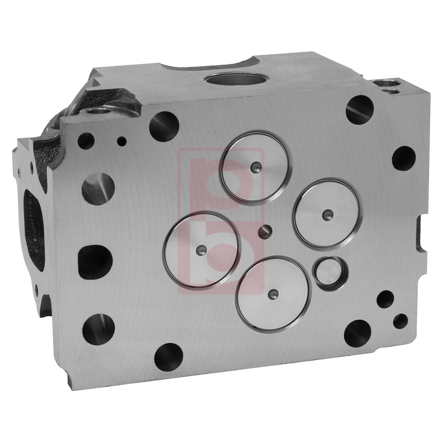 Zylinderkopf 10 012 541 09