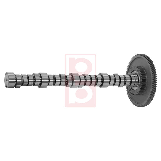 Nockenwelle 10 050 442 01