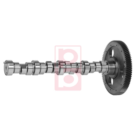 Nockenwelle 10 050 924 01