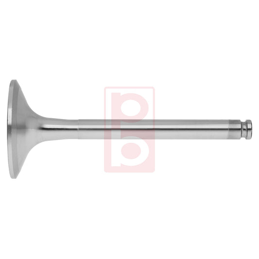 Einlassventil 1013 IN