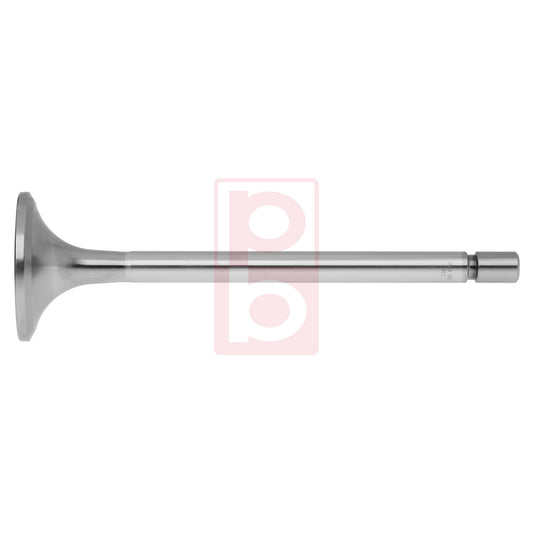 Einlassventil 1061 IN