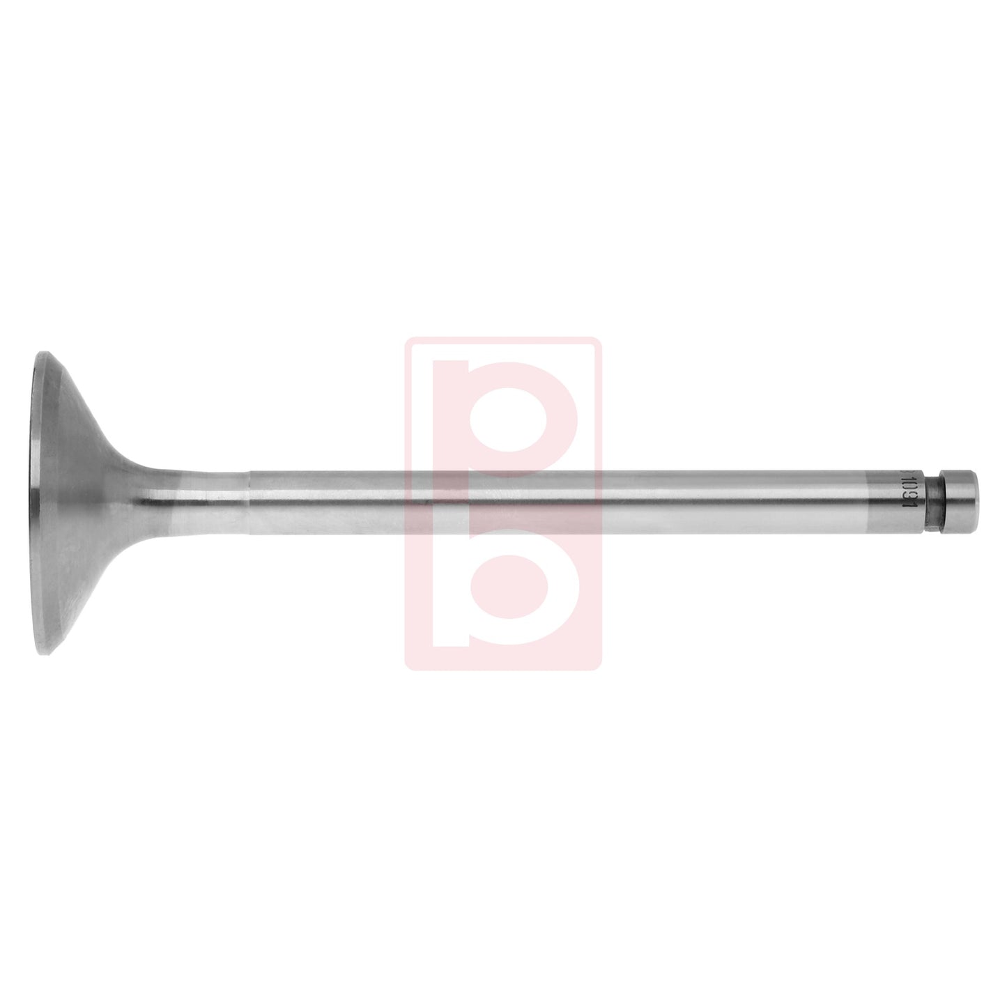 Einlassventil 1091 IN