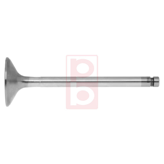 Einlassventil 1091 IN