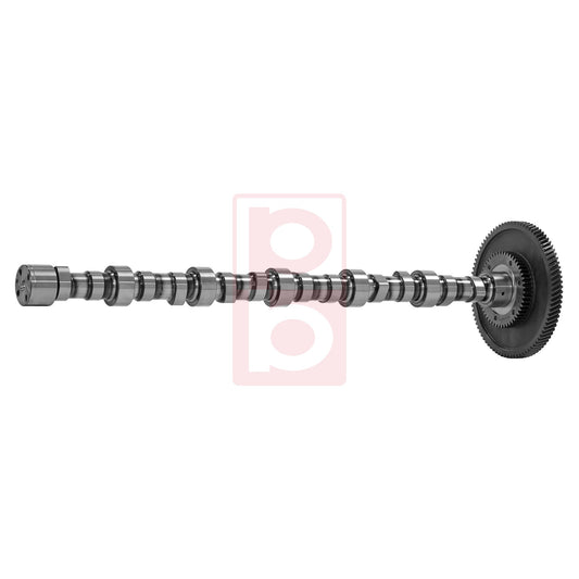 Nockenwelle 20 050 2876 00