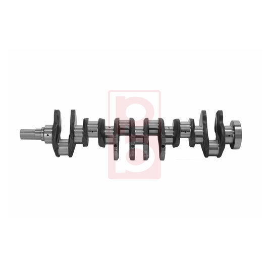 CRANKSHAFT 50 030 100 01